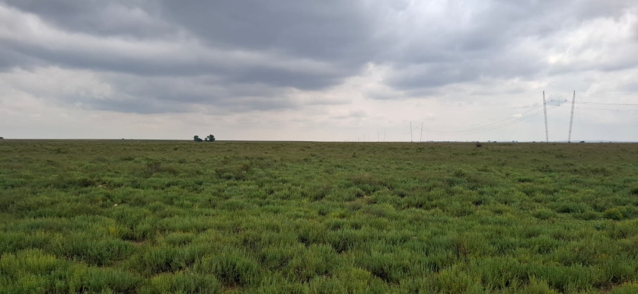 Commercial Property for Sale in Dealesville Free State